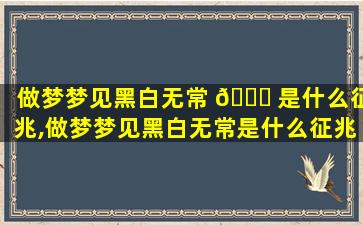 做梦梦见黑白无常 🐎 是什么征兆,做梦梦见黑白无常是什么征兆周公解梦